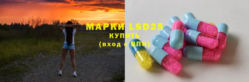 ЛСД экстази ecstasy  Каргополь 